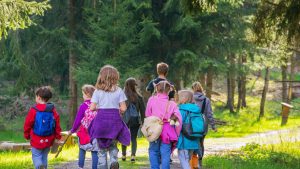Children walking in a forest